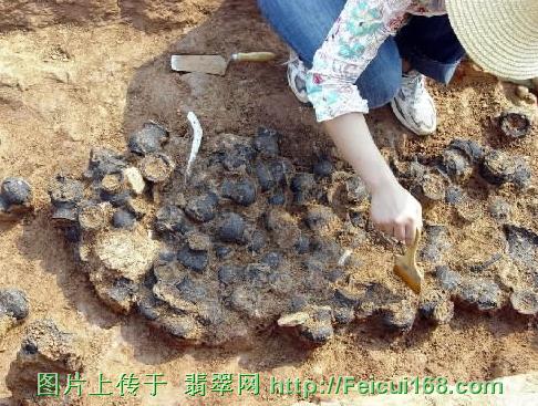 荆门发掘5000年前墓地 挖出数百件陶器石器(图)