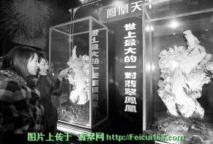 翡翠凤凰“飞”到奢华物品展场（图）