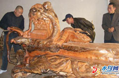 千年树根半年雕成 罕见花梨木根雕现身莱阳(图)