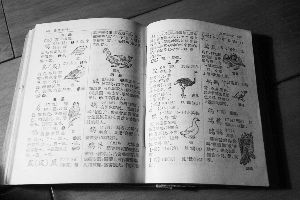 新版《新华字典》出版引旧版收藏热