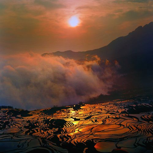杨高林摄影展明日启幕