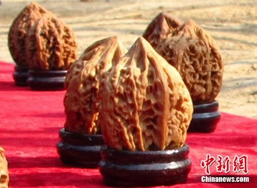 文玩核桃成新宠 六七千元一对不算贵