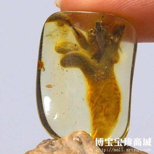  *天然琥珀*天然蜜蜡*植物珀*象形珀*胡萝卜 （图片来源：博宝艺术网宝珍商城）