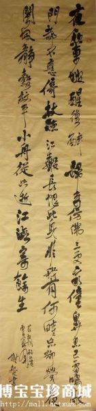 谢纪元书法宛如行云流水之势