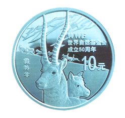 看看可可西里的银色骄傲