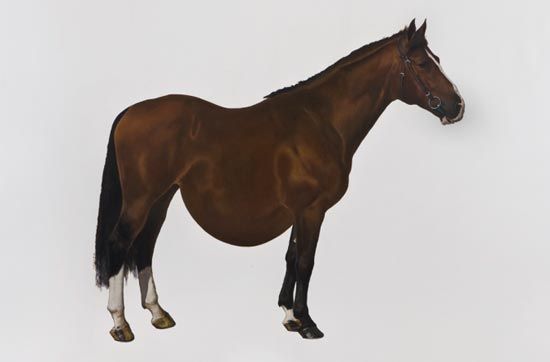 季大纯，大肿马，Alexandre Dumas，180x180cm， acrylics on canvas，2010