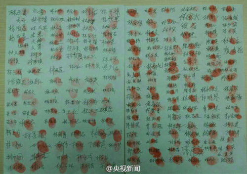 　　中国村民写联名信给荷兰首相 望章公祖师回家
