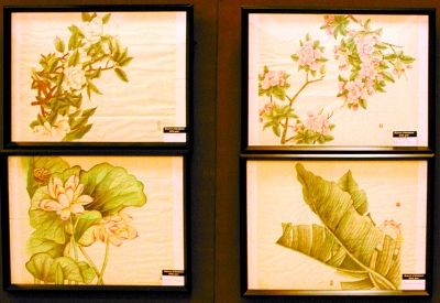 贝宁青年倾心中国工笔画(图)