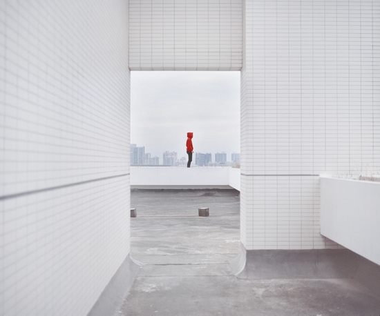 《蜜蜂 NO.065-01》