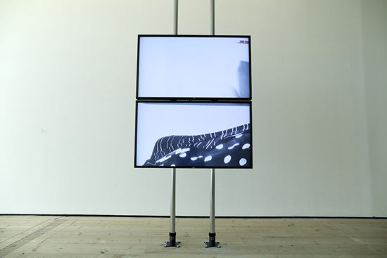 Hilary Lloyd的作品