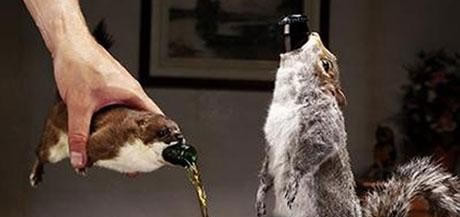 英公司用动物尸体当啤酒瓶：每瓶售5000多元