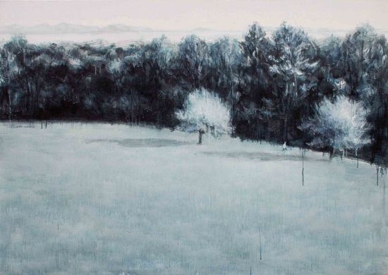 岳杨作品：那片森林 2009年
