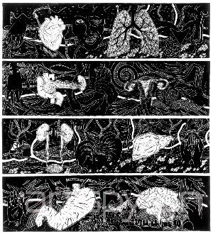 奇奇•史密斯：以看待生物系统的方式来看待人