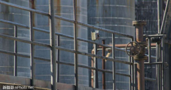 Sander Roscoe Wolff拍摄的照片