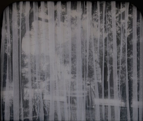 徐累 双园会 装 装置置 2 22200××8866ccmm 2006