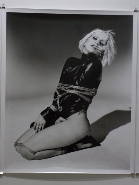 荒木经惟为Lady Gaga拍摄的作品