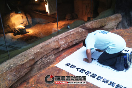 跪拜动物 贵州艺术家表演行为艺术(图)