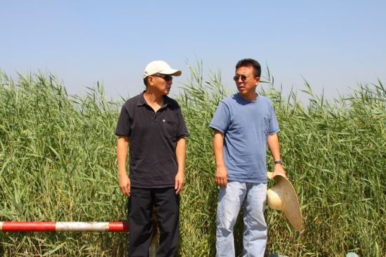 刘小东与侯孝贤