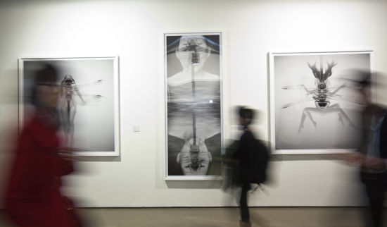 展览现场