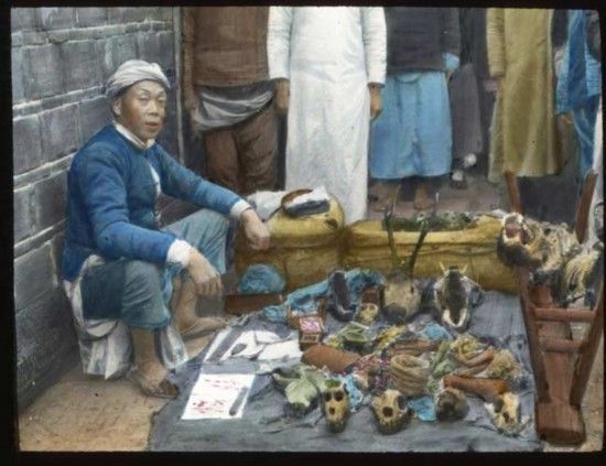 美国大学珍藏的旧时中国老照片