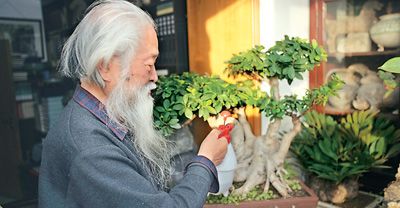 王靖宪说：“盆景也是中国文化的一部分。”