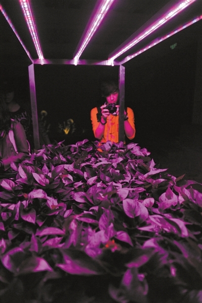 未来光影设计将突出“智能”化。