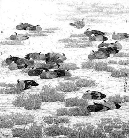 梁时民《暖冬》。