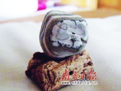 长沙奇石藏家用兔石迎新春