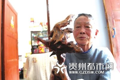 7旬老人要办根艺博物馆：艺术品捡自野外