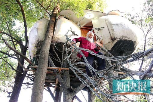 6旬根雕大师隐居树上：三室一厅有浴室