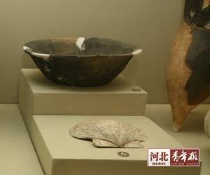 古人以贝壳作为财富的象征，“蚌覆面”是极为奢侈的丧葬形式