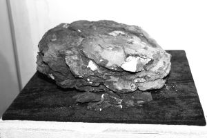 国内罕见的碳化断层泥