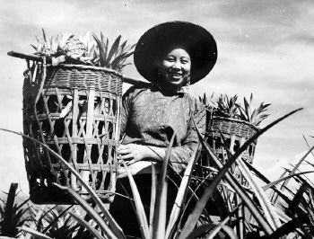 刘醒民拍摄的妇女劳动场面