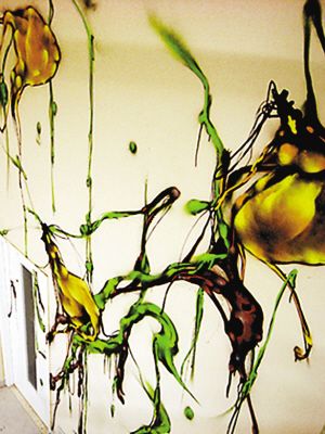 林子楠的涂鸦作品