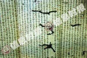 科举考试出猫纸 小楷《论语》密密抄(图)