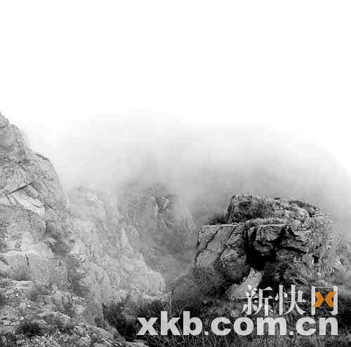 静默影像正孕育着精神上的可能性(图)