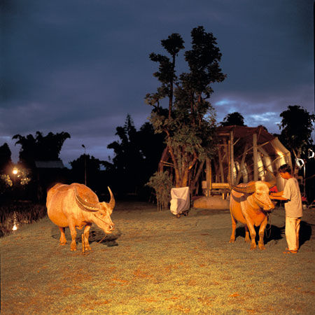 参展作品：菲利普?帕雷诺《信任》