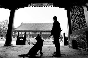 查古籍驯故宫侍卫犬(图)