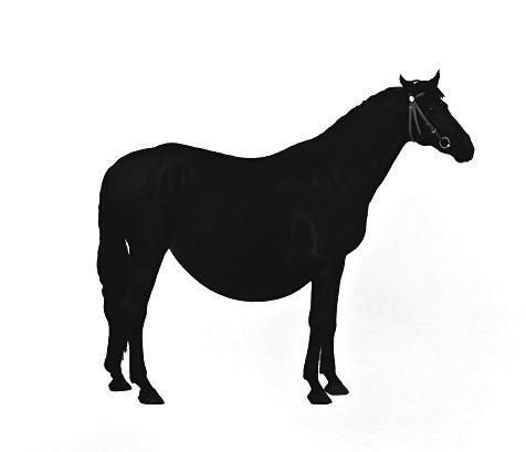 季大纯作品《大肿马》