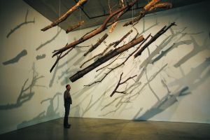 艺术家冉?卡泽的公共空间艺术品