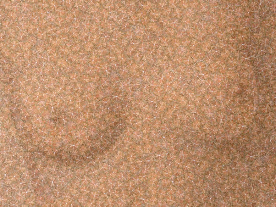 作品《芭比娃娃》