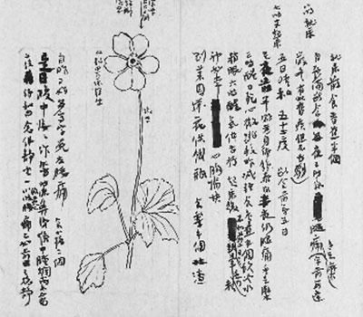 李叔同《断食日志》手稿回归虎跑寺