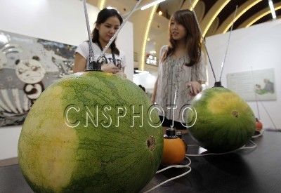 装置艺术造型奇特引人关注
