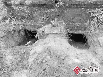 盗墓贼半小时搞定南保山百余古墓