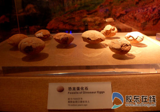 恐龙蛋化石