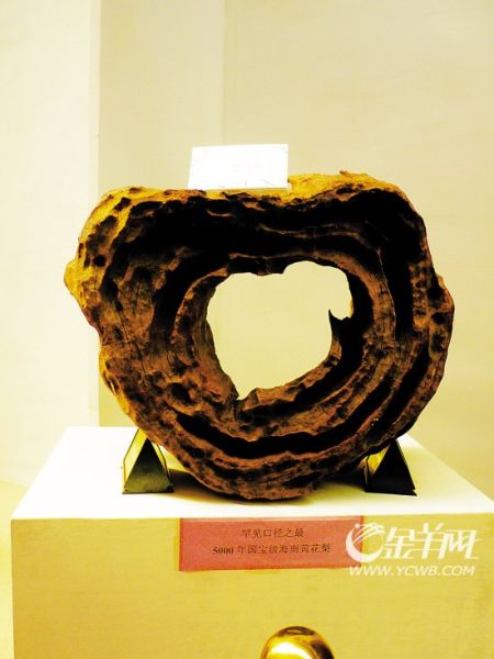 千万级龙纹围屏现身乐从红木展