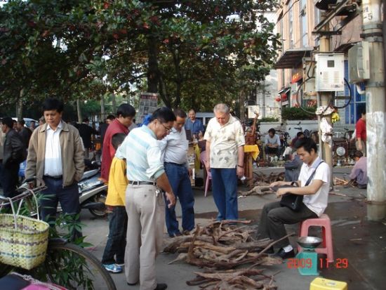 碎料细根还能在市场上觅得。