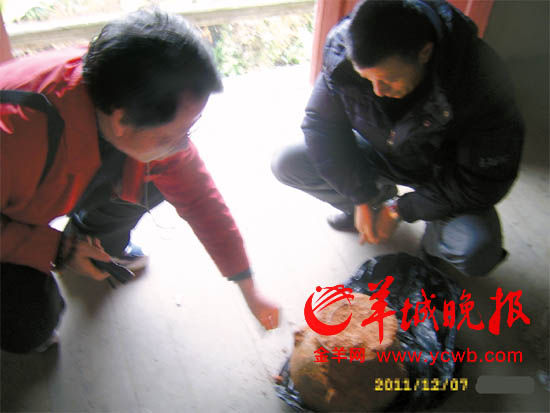 记者揭收藏市场的大乱局：国家监管欠缺