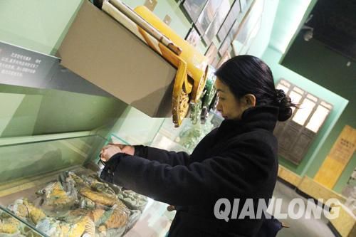 市民用相机拍下自己喜欢的陈列品