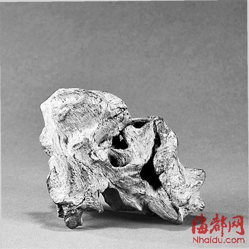 沉香象牙珍品齐聚榕城